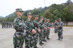 lol全球总决赛-新赛季即将开启,球队备战训练全面展开